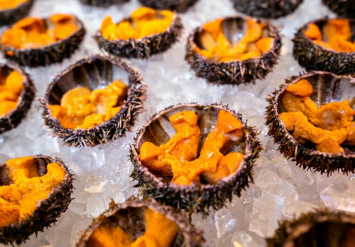 Пробовать арктическую кухню