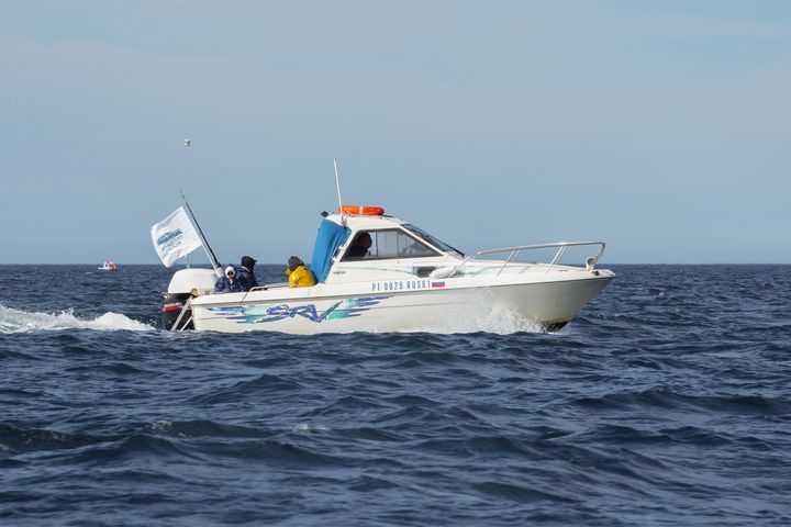 Смотреть китов